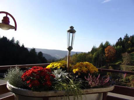 Md Waldhotel Palmspring Bad Peterstal-Griesbach Dış mekan fotoğraf
